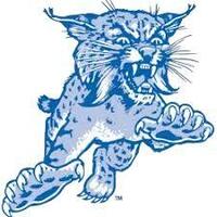 BoyleCountyCat