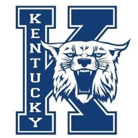 Kyspringcat