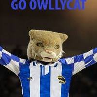 Owllycat
