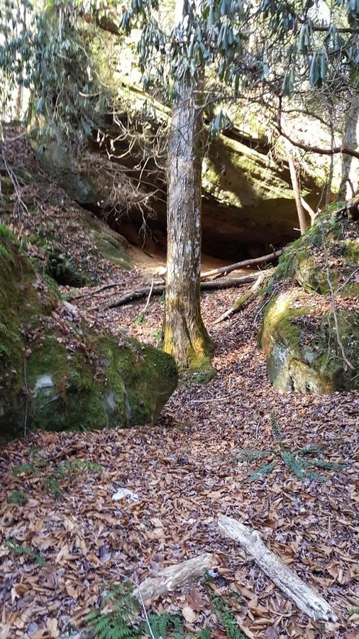 Click image for larger version

Name:	little cave.jpg
Views:	51
Size:	154.3 KB
ID:	104236
