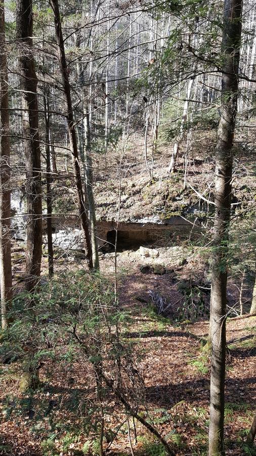 Click image for larger version

Name:	bigger cave.jpg
Views:	48
Size:	186.9 KB
ID:	104238