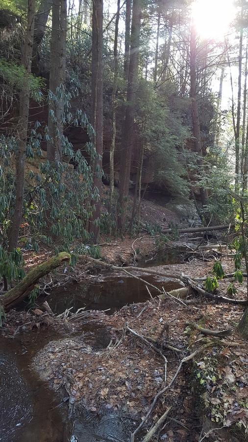 Click image for larger version

Name:	copperas creek.jpg
Views:	47
Size:	136.6 KB
ID:	104245