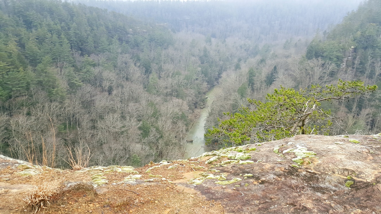 Click image for larger version

Name:	eagles nest.jpg
Views:	58
Size:	498.0 KB
ID:	199779