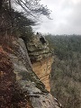 Click image for larger version

Name:	eagles nest 43.jpg
Views:	60
Size:	6.5 KB
ID:	199785