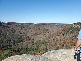 Click image for larger version

Name:	20201107_135316.jpg
Views:	85
Size:	3.33 MB
ID:	246889