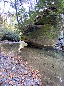 Click image for larger version  Name:	1EF68DD7-BBB5-41BD-A2E4-29219D14F864.jpg Views:	0 Size:	2.78 MB ID:	273174