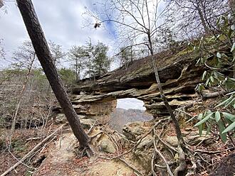 Click image for larger version  Name:	IMG_1339.jpg Views:	0 Size:	4.53 MB ID:	358015