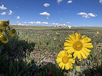 Click image for larger version

Name:	IMG_2918.jpg
Views:	87
Size:	2.63 MB
ID:	390069