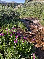Click image for larger version

Name:	IMG_2909.jpg
Views:	66
Size:	4.91 MB
ID:	390072