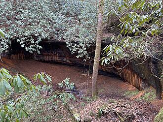 Click image for larger version

Name:	IMG_1397.jpg
Views:	52
Size:	6.06 MB
ID:	392885