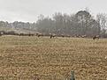 Click image for larger version

Name:	IMG_0175.jpg
Views:	75
Size:	3.70 MB
ID:	253619